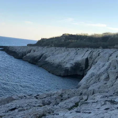 House Rozalia スサク