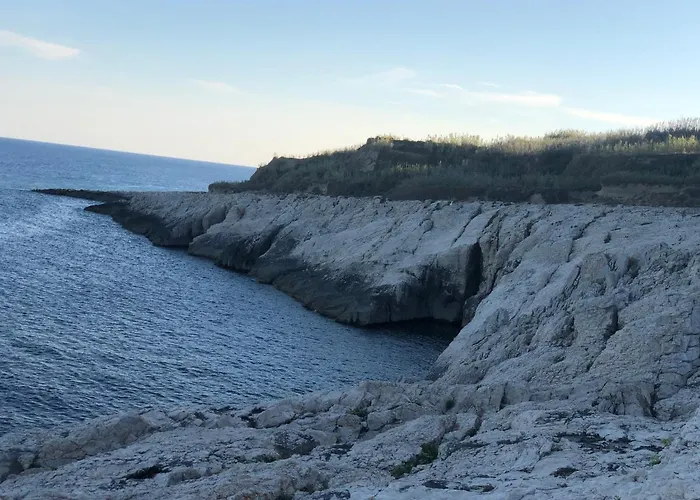 House Rozalia スサク